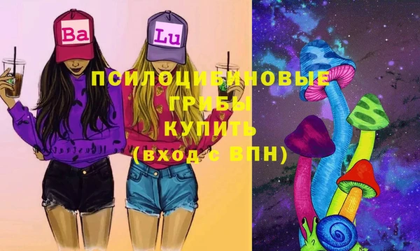 apvp Абаза
