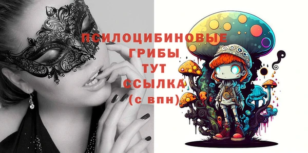 твердый Абинск