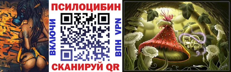 Галлюциногенные грибы Psilocybine cubensis  Камышлов 